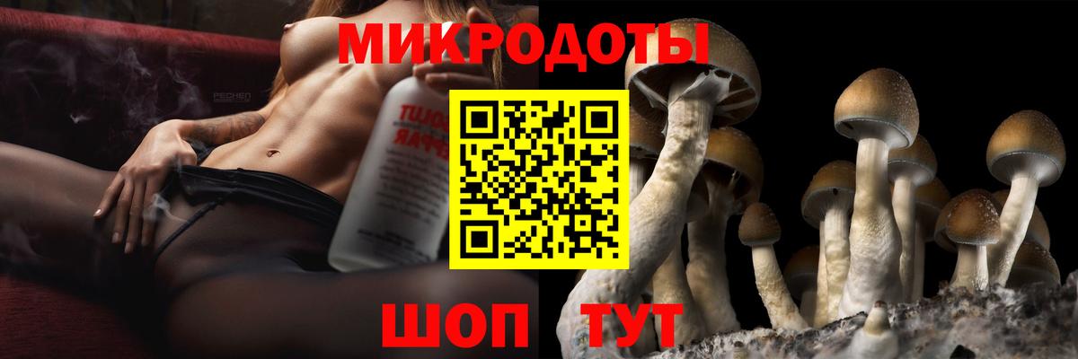 Галлюциногенные грибы прущие грибы Верхняя Пышма